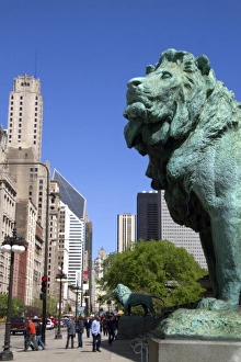 Bronze lion statue at the entrance to the Art Institute of Chicago building in Chicago Bronze lion statue at the entrance to the Art Institute of Chicago building in Chicago