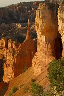 Bryce Canyon National Park, Utah. Spire Hoodoos and bulbous Hoodoos wall line Bryce Canyon National Park, Utah. Spire Hoodoos and bulbous Hoodoos wall line