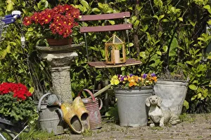 Colorful Flower Arrangements Prints: Buckets, shoes