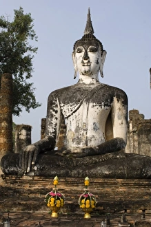 Images Dated 2007 November: Buddha Print by Danita Delimont
