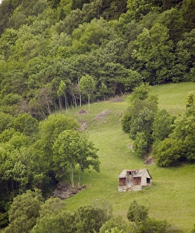 building along pasture in Sogne Fjord; Southern, Fjord Norway building along pasture in Sogne Fjord; Southern, Fjord Norway