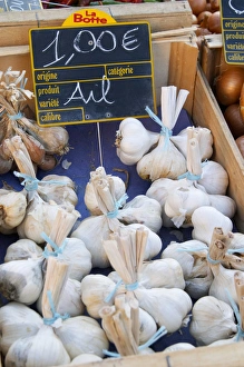 Bunches of garlic, ail, 1 euro for three, for sale at a market stall at the street Bunches of garlic, ail, 1 euro for three, for sale at a market stall at the street
