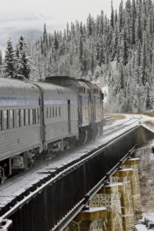 VIA Rail Snow Train Print, Alberta Canada
