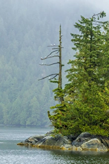 Canada, British Columbia. Inside Passage scenic Canada, British Columbia. Inside Passage scenic