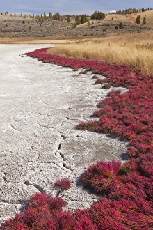 Canada, British Columbia, Kamloops, Lac Du Bois Grasslands Park. Scenic of grasses Canada, British Columbia, Kamloops, Lac Du Bois Grasslands Park. Scenic of grasses