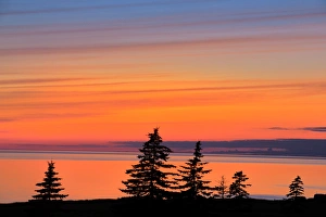 Canada, Gulf of St. Lawrence, West Cape. Trees silhouetted at dusk on Prince Edward Island Canada, Gulf of St. Lawrence, West Cape. Trees silhouetted at dusk on Prince Edward Island