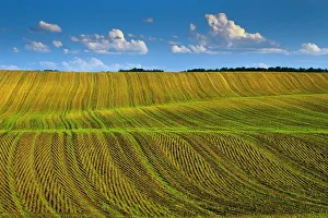 Canada, Manitoba, Treherne. Crop patterns in spring Canada, Manitoba, Treherne. Crop patterns in spring