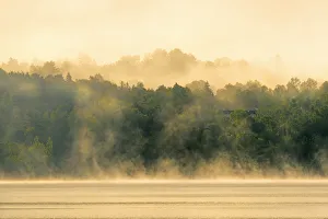 Canada, New Brunswick, Mactaquac. Morning fog on Saint John River at sunrise. Credit as Canada, New Brunswick, Mactaquac. Morning fog on Saint John River at sunrise. Credit as