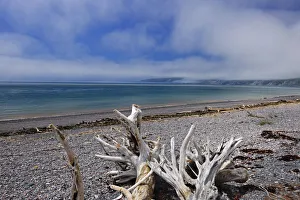 Canada, Nova Scotia, Advocate Harbour. Driftwood on Bay of Fundy beach. Credit as Canada, Nova Scotia, Advocate Harbour. Driftwood on Bay of Fundy beach. Credit as