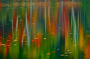 Canada, Ontario. Autumn-colored trees reflected in Horseshoe Lake Canada, Ontario. Autumn-colored trees reflected in Horseshoe Lake