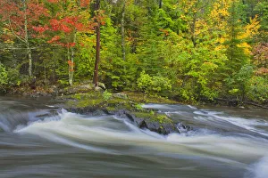 Canada, Ontario. Berry Creek landscape. Credit as: Mike Grandmaison / Jaynes Gallery / Canada, Ontario. Berry Creek landscape. Credit as: Mike Grandmaison / Jaynes Gallery /