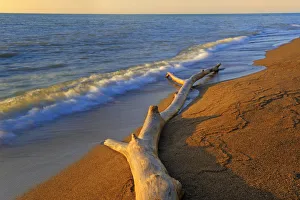 Canada, Ontario, Point Pelee National Park. Driftwood on Lake Erie shore. Credit as Canada, Ontario, Point Pelee National Park. Driftwood on Lake Erie shore. Credit as