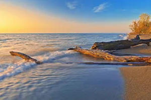 Canada, Ontario, Point Pelee National Park. Driftwood on Lake Erie shoreline at sunrise Canada, Ontario, Point Pelee National Park. Driftwood on Lake Erie shoreline at sunrise