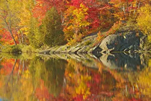 Canada, Ontario, Simon Lake Park Conservation Area. Forest Canada, Ontario, Simon Lake Park Conservation Area. Forest