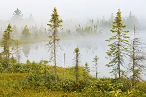 Canada, Ontario, Torrance Barrens Dark Sky Preserve. Fog on Highland Pond. Credit as Canada, Ontario, Torrance Barrens Dark Sky Preserve. Fog on Highland Pond. Credit as