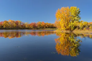 Canada, Ontario, Vermilion River. Forest reflections in autumn Canada, Ontario, Vermilion River. Forest reflections in autumn
