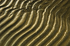 Canada, Ontario, Wahnekewaning Beach. Ripples in shore sand of Georgian Bay. Credit as Canada, Ontario, Wahnekewaning Beach. Ripples in shore sand of Georgian Bay. Credit as