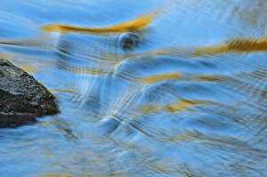 Canada, Ontario. Water rippling by a rock in the Oxtongue River Canada, Ontario. Water rippling by a rock in the Oxtongue River