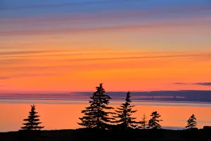 Canada, Prince Edward Island, West Cape. Trees silhouetted by water at dusk. Credit as Canada, Prince Edward Island, West Cape. Trees silhouetted by water at dusk. Credit as