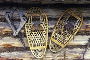 Quebec Snowshoe Print