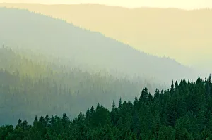 Canada, Quebec, Parc national des Laurentides. Misty Laurentian Mountains forests Canada, Quebec, Parc national des Laurentides. Misty Laurentian Mountains forests