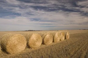 Saskatchewan Landscape Prints: Canada, Saskatchewan