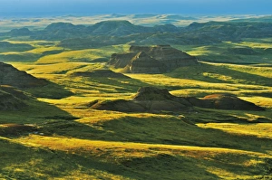 Canada, Saskatchewan, Grasslands National Park. Rolling hills of the Killdeer Badlands at Canada, Saskatchewan, Grasslands National Park. Rolling hills of the Killdeer Badlands at