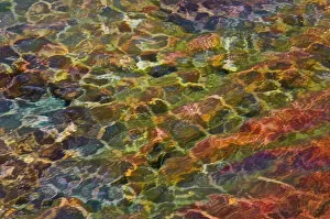 Canada. Shimmering water abstract. Credit as: Mike Grandmaison / Jaynes Gallery Canada. Shimmering water abstract. Credit as: Mike Grandmaison / Jaynes Gallery