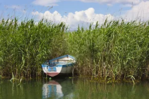 Canoe and reeds on Lake Ohrid, Republic of Macedonia Canoe and reeds on Lake Ohrid, Republic of Macedonia