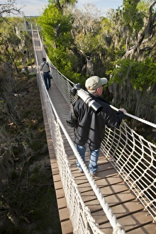 Canopy walk in riparian forest at Santa Ana National Wildlife Refuge, Texas Canopy walk in riparian forest at Santa Ana National Wildlife Refuge, Texas