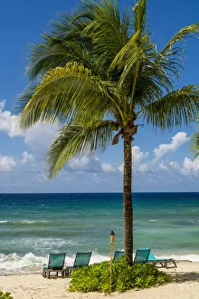 Carambola Beach Resort beach, St. Croix, US Virgin Islands Carambola Beach Resort beach, St. Croix, US Virgin Islands