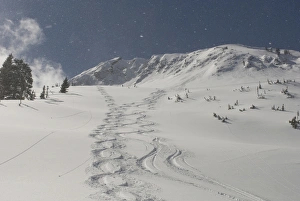 Cardiff Fork, Big Cottonwood Canyon, Wasatch Mountains, near Salt lake City and Alta Cardiff Fork, Big Cottonwood Canyon, Wasatch Mountains, near Salt lake City and Alta