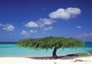 Caribbean Vacation Spots Prints: Caribbean, Aruba. Eagle Beach