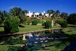 Caribbean, Bermuda, Devonshire Parish, Palm Grove Gardens. Reflecting pool with unique Caribbean, Bermuda, Devonshire Parish, Palm Grove Gardens. Reflecting pool with unique