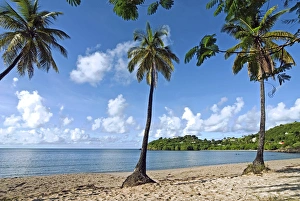 Carlisle Bay beach, Antigua, West Indies, Caribbean, Central America Carlisle Bay beach, Antigua, West Indies, Caribbean, Central America