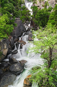 Cascade Creek, Yosemite National Park, California Cascade Creek, Yosemite National Park, California