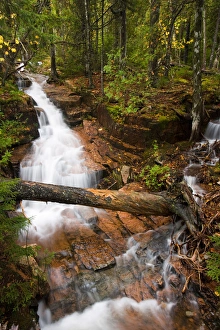 Cascades on Deer Brook in Maines Acadia National Park Cascades on Deer Brook in Maines Acadia National Park