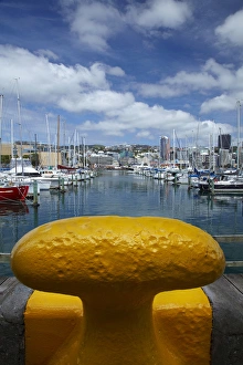 Chaffers Marina, Wellington, North Island, New Zealand Chaffers Marina, Wellington, North Island, New Zealand