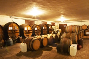 In the Chapoutier winery. The special storage room for spirits, marc, fine In the Chapoutier winery. The special storage room for spirits, marc, fine