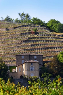 The Chateau Grillet, that has its own appellation close to Condrieu with its vineyard The Chateau Grillet, that has its own appellation close to Condrieu with its vineyard