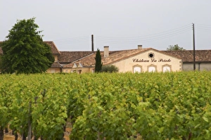 Chateau la Pointe and vineyard Pomerol Bordeaux Gironde Aquitaine France Chateau la Pointe and vineyard Pomerol Bordeaux Gironde Aquitaine France