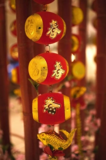 Chinese New Year Decorations Beijing China The fish is a smybol of wealth Chinese New Year Decorations Beijing China The fish is a smybol of wealth