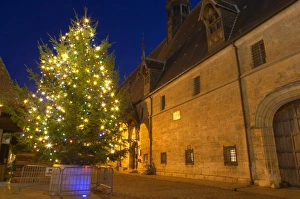 A chrstmas tree with coloured colored lights in front of the Hotel Dieu Hospices A chrstmas tree with coloured colored lights in front of the Hotel Dieu Hospices