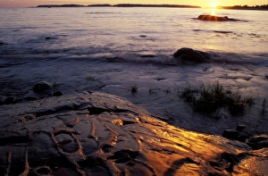 Clarks Island, ME. Sunrise. The sun rises over the rocks Clarks Island, ME. Sunrise. The sun rises over the rocks