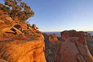 Cliffs of the Colorado National Monument catch mornings first light near Fruita, Colorado Cliffs of the Colorado National Monument catch mornings first light near Fruita, Colorado