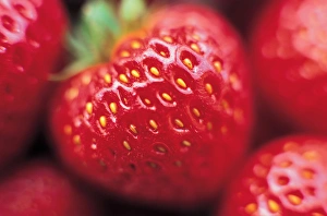 Close Up Strawberry Prints: Close up of Strawberries