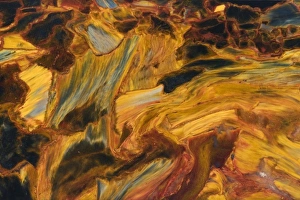 Related Prints: Pietersite Close-up Print