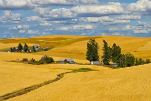 Clouds above farm house on wheat field, Palouse, eastern Washington State, USA Clouds above farm house on wheat field, Palouse, eastern Washington State, USA