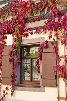 Saxony Europe Travel Prints: Colditz, Germany