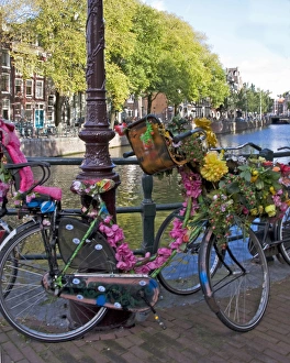 Colorful decorated bicycle with pink flowers and a pink passenger seat parked Colorful decorated bicycle with pink flowers and a pink passenger seat parked
